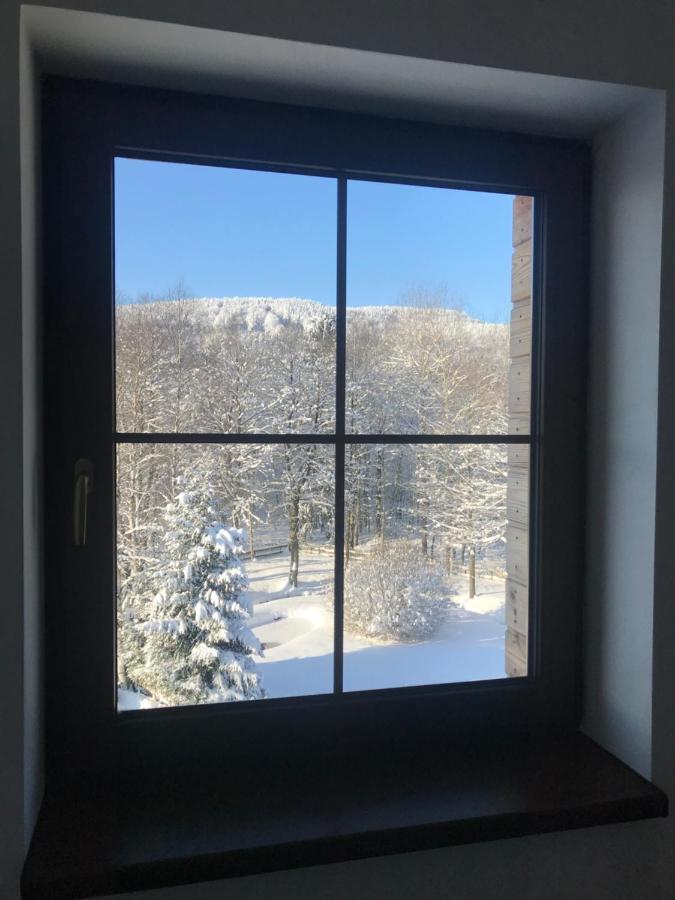 Ubytovani U Potoka Destne v Orlickych horach Bagian luar foto