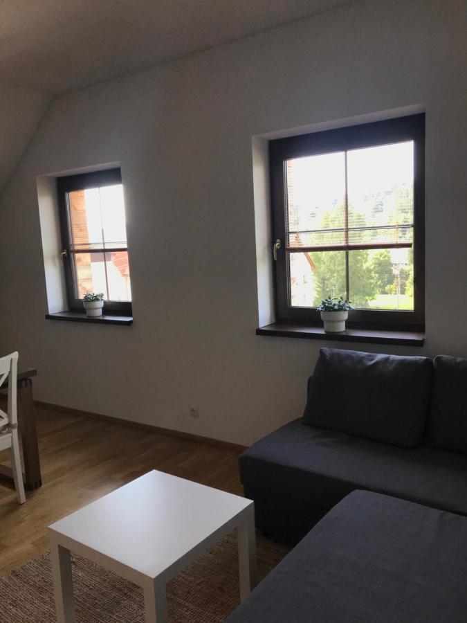 Ubytovani U Potoka Destne v Orlickych horach Bagian luar foto