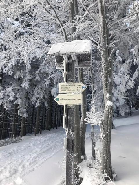 Ubytovani U Potoka Destne v Orlickych horach Bagian luar foto