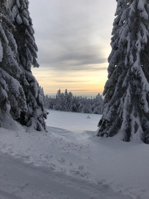 Ubytovani U Potoka Destne v Orlickych horach Bagian luar foto