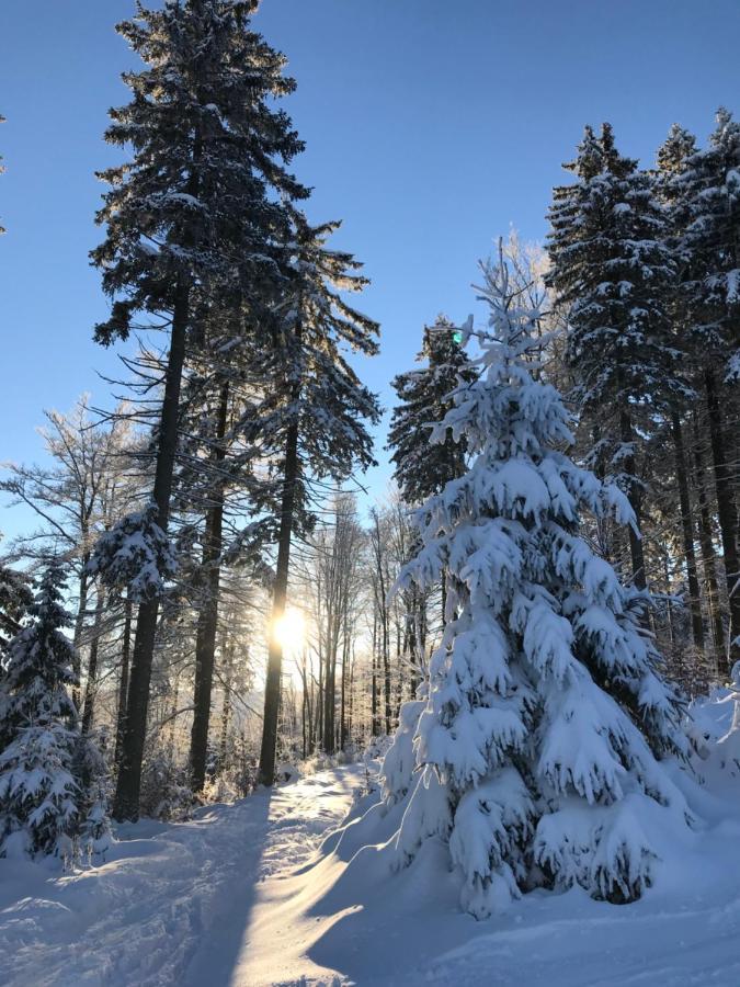 Ubytovani U Potoka Destne v Orlickych horach Bagian luar foto