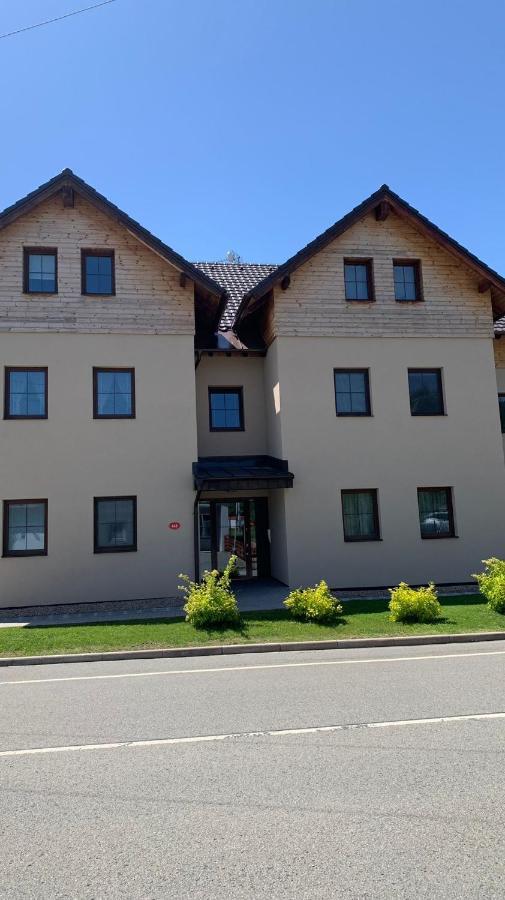 Ubytovani U Potoka Destne v Orlickych horach Bagian luar foto