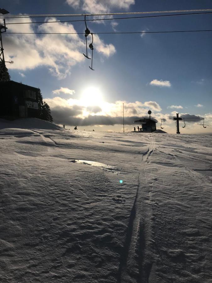 Ubytovani U Potoka Destne v Orlickych horach Bagian luar foto